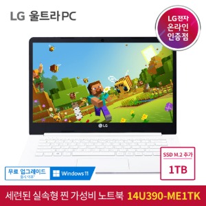 LG 울트라PC 노트북 14U390-ME1TK + SSD M.2 1TB 추가 [인강용 재택근무 초특가 가성비 노트북]