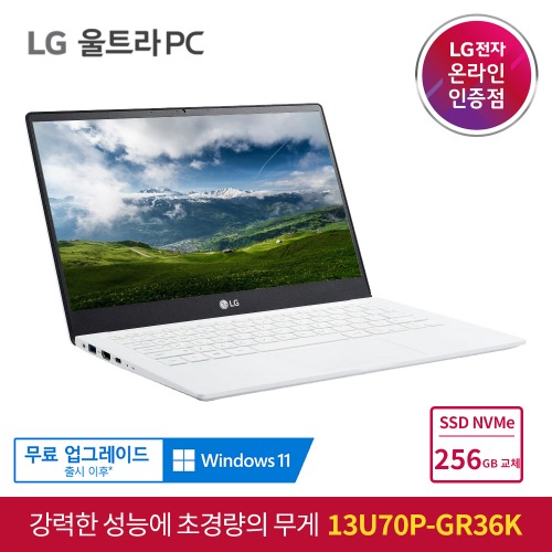LG 울트라PC 노트북 13U70P-GR36K + NVMe SSD 256GB 교체