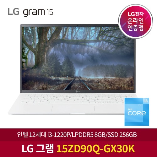 LG 그램 15ZD90Q-GX30K NVMe 512GB 추가 노트북