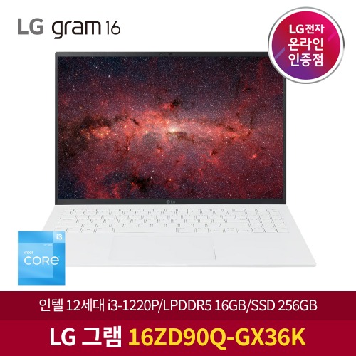 LG그램 2022 16ZD90Q-GX36K + SSD 512GB 교체 노트북