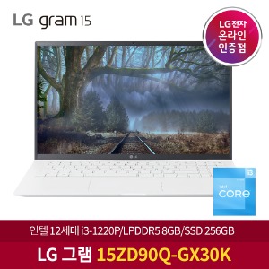 LG 그램 15ZD90Q-GX30K NVMe 256GB 추가 노트북