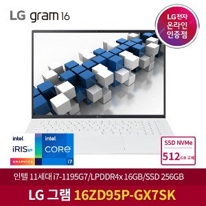 LG그램 16ZD95P-GX7SK NVMe 1TB 교체 노트북