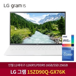 LG 그램 15ZD90Q-GX76K WIN 11 FPP 설치 노트북