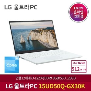 LG전자 12세대 울트라PC 15UD50Q-GX30K NVMe 512GB 교체 노트북