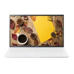 LG 그램 15ZD90Q-GX30K NVMe 1TB 추가 노트북